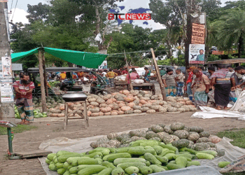 সিন্ডিকেটের কারণে ন্যায্য মূল্য পাচ্ছেন না কৃষকেরা, প্রায় ২০০ কোটি টাকার সবজি ও ১২ কোটি টাকার অফ সিজনের তরমুজ এ বছর বাগেরহাট থেকে ঢাকাসহ দেশের বিভিন্ন প্রান্তে রপ্তানি হয়েছে।… দেশের সীমানা ছাড়িয়ে বিদেশেও রপ্তানি করা সম্ভব