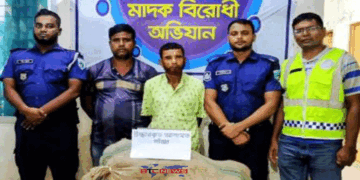 ফুলবাড়ীতে প্রায় দুই মণ গাঁজাসহ আটক-২